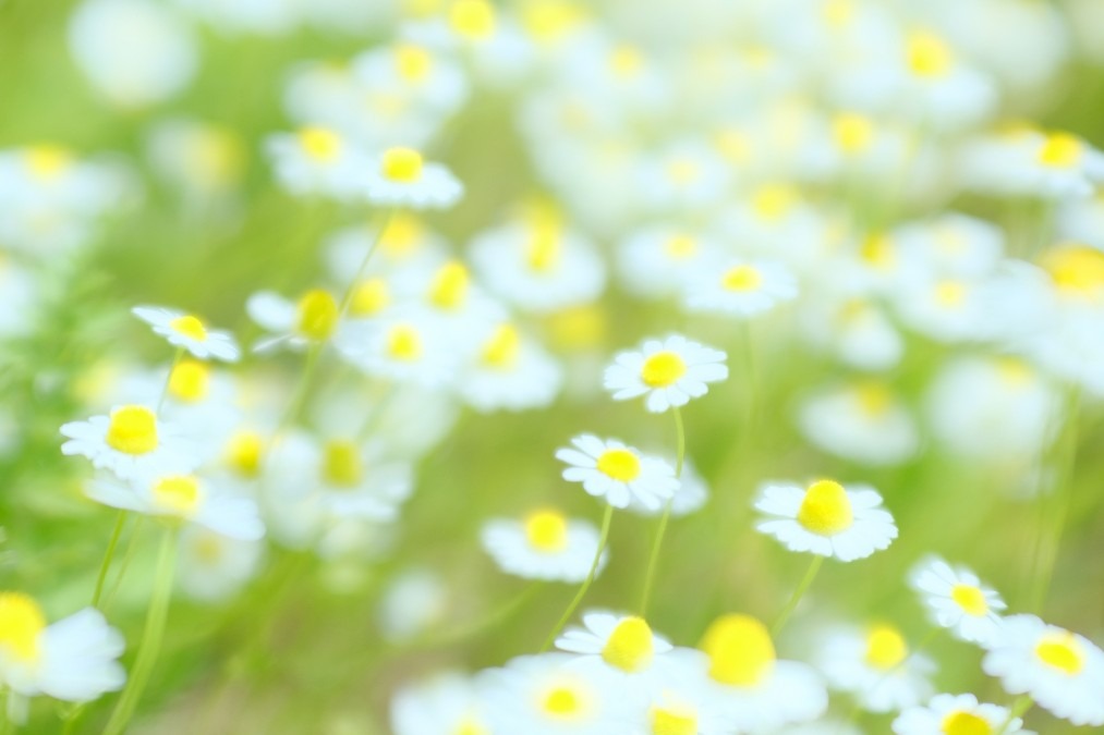 12月30日、今の仕事や転職について雑談しましょう！